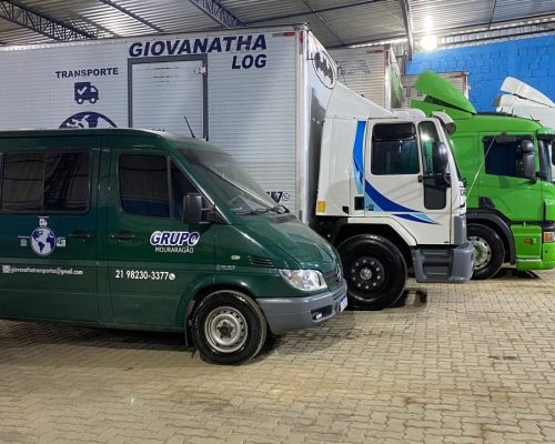 Giovanatha Log