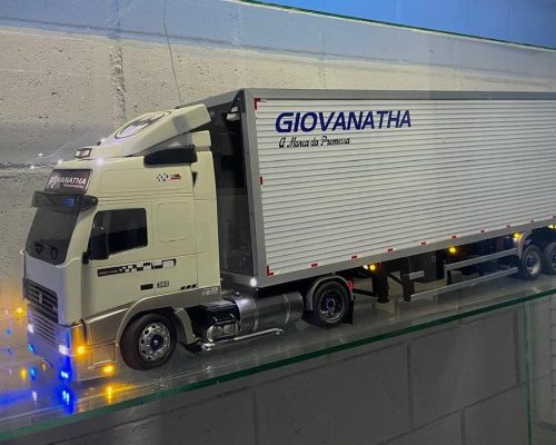 Giovanatha Log
